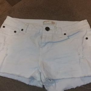 No boundaries Jean shorts